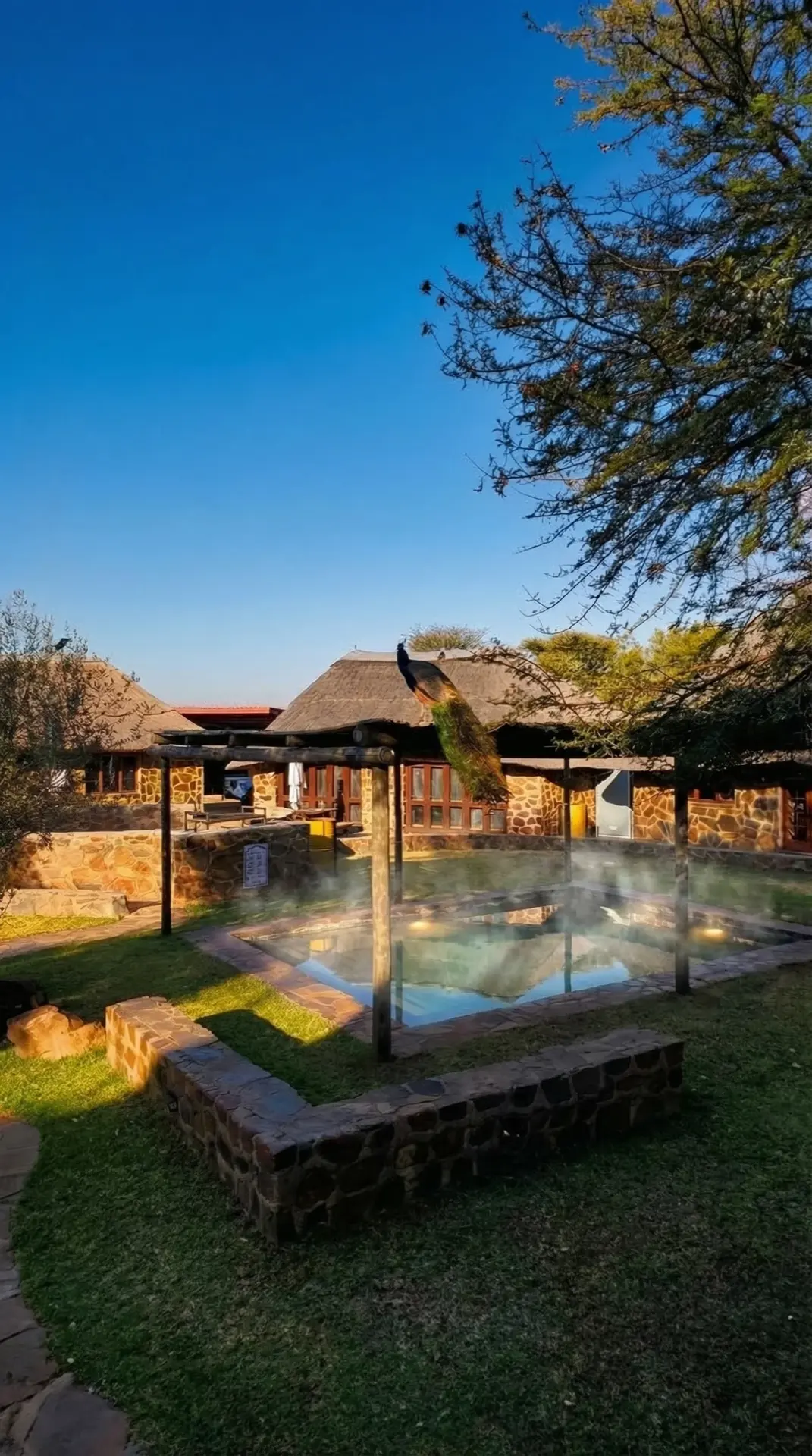 Heated swimming pool at Rocking Giraffe Bush Lodge