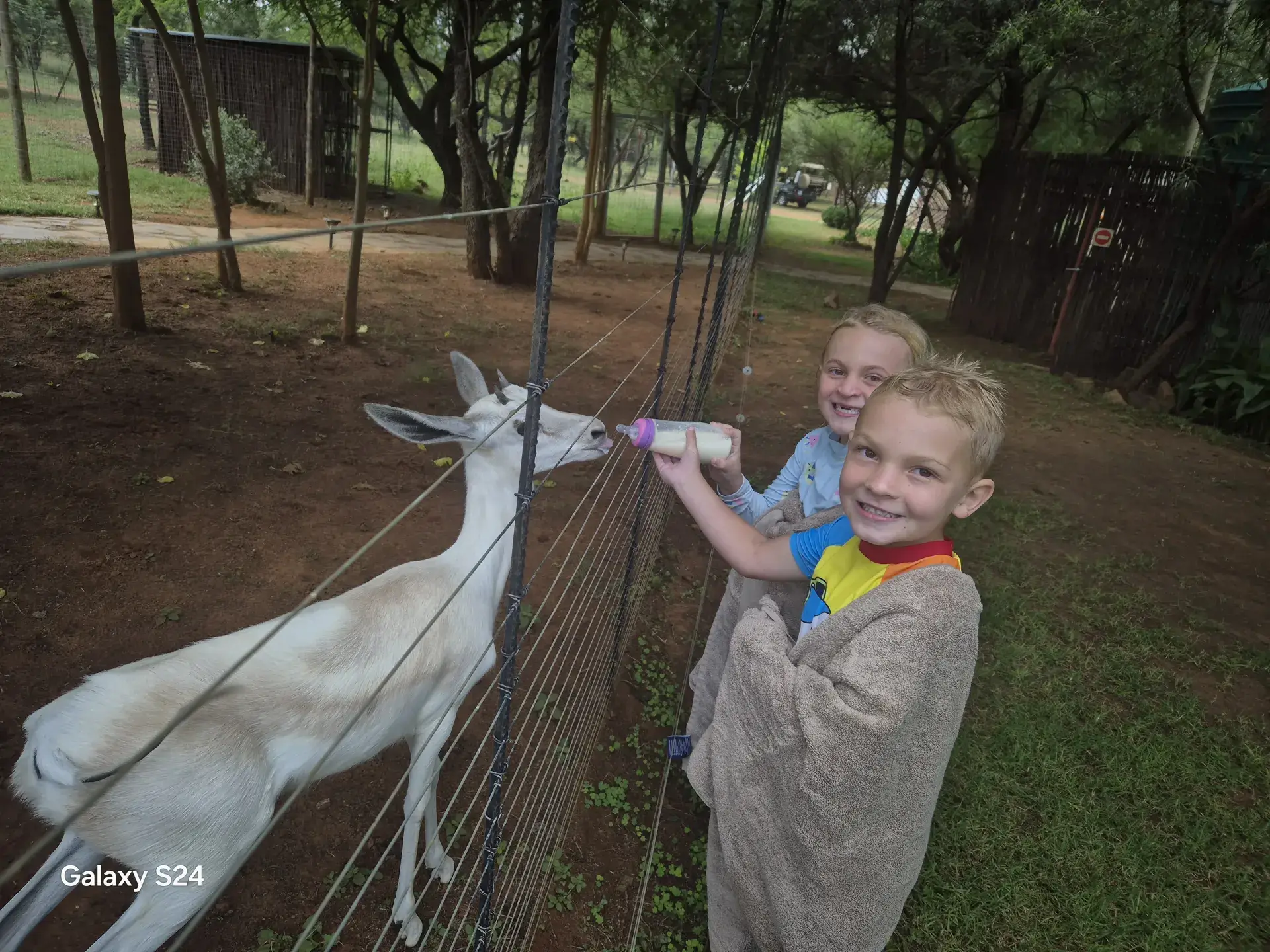 Family activity gallery image 1 from Rocking Giraffe Bush Lodge